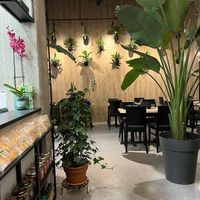 Green Vibe! at Shushu Haru  in Montreal