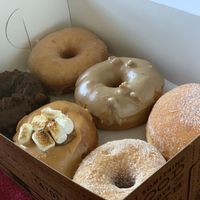 Vegan: Vanilla Bean, Maple Pecan, Jam Filled, Black-Out Chocolate Cake, Sweet Potato Casserole, Cinnamon Sugar at Revolution Doughnuts in Decatur