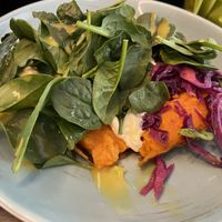   at Orient Occident in Vienna