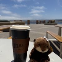   at Tidal Coffee in Monterey