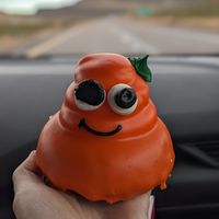 Veegee at Pinkbox Doughnuts in St George