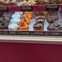 Bottom left tray are vegan at Pinkbox Doughnuts in St George