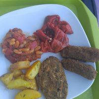 Snitel and Mici at Casa Vegetariana in Constanta