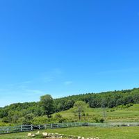   at Tamerlaine Sanctuary & Preserve in Montague