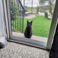 Diver will make you think she is allowed in, not so though, lol at Tamerlaine Sanctuary & Preserve in Montague