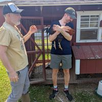 This rooster is a star at Tamerlaine Sanctuary & Preserve in Montague