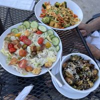 A vegan feast!  at Pig Minds Brewing in Machesney Park