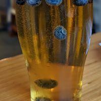 Happi Daze Blonde Ale at Pig Minds Brewing in Machesney Park