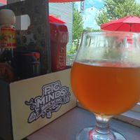  at Pig Minds Brewing in Machesney Park