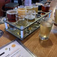 Flight!   at Pig Minds Brewing in Machesney Park