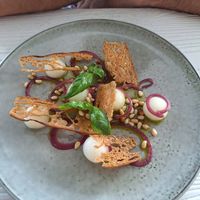 Honey dew melon and basil salad with ciabatta crisps, toasted pine nuts and basil oil at Sienna's in Dublin