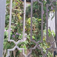  at Teteria Almedina in Almeria