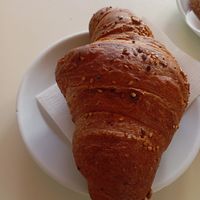  at House Cafe in Pisa