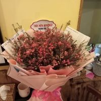 This restaurant is so special that customers bring birthday flowers for the owner. Right now i am waiting for my food to arrive at Shala Vegan House in Da Nang