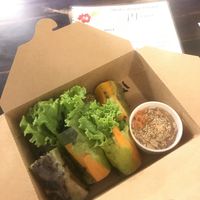 Best vegan spring rolls I have ever eaten  #Veganuary at Shala Vegan House in Da Nang