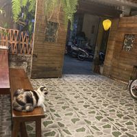   at Shala Vegan House in Da Nang