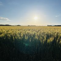   at La Cour de Husson in Charme