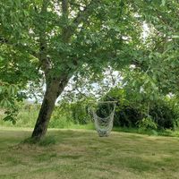  at La Cour de Husson in Charme