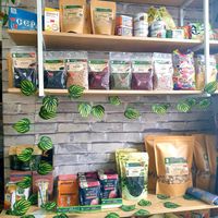  at Orchis Vegan Cafe - Орчис  in Ulaanbaatar