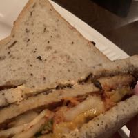 Reuben  at The Purple Elephant in Northport