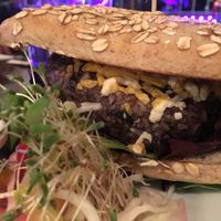 Rainforest burger - SUPERSIZED at The Purple Elephant in Northport
