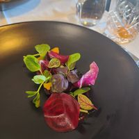 Beetroot, radish, grapefruit salad at Miss Amelie in Wodonga