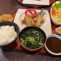 New Vegan Katsu Set - RECOMMEND at Kurayoshi in Kuroishi