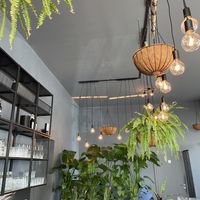 Interior   at VRÜH - All Day Breakfast in Dortmund