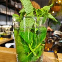 Frischer Pfefferminztee at VRÜH - All Day Breakfast in Dortmund