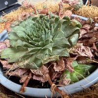 table deco  at VRÜH - All Day Breakfast in Dortmund