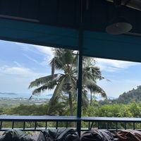   at The Dreaming Tree in Phuket