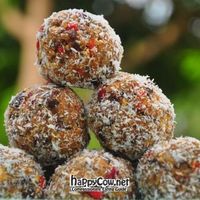 Homemade oatballs at Living Juices in Koh Tao