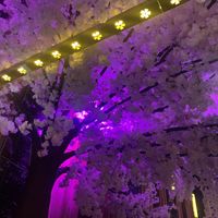   at Shanghai 1814 in Southampton