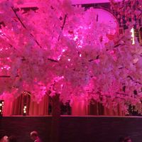  at Shanghai 1814 in Southampton