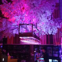  at Shanghai 1814 in Southampton