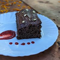 Brownie  #Veganuary at Hippie Paws in Mandrem