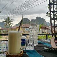  at Kiwi Kitchen in Vang Vieng