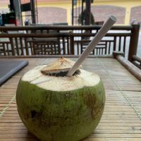 Fresh cold coconut. Always delicious!  at Tam Coc Ngo Dong Homestay and Vegan Restaurant in Ninh Binh