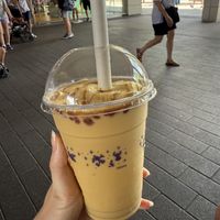 Mango coconut milk shake   at Walt Disney World - Connections Eatery in Lake Buena Vista