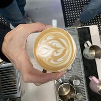   at Elevation Coffee Roasters in Lutz