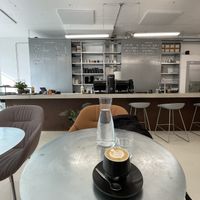 Bar and interior  at Dune in Rotterdam