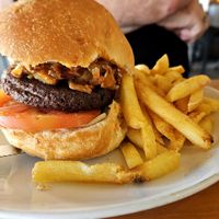 Veg-burger with fries at Mobys in Plettenberg Bay