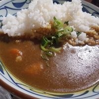 Curry rice at Marugame Udon in South East London