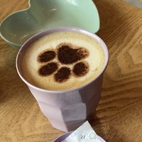   at Woof & Me in Amsterdam