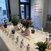 Interior  at NO Cosmetics in Berlin