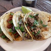 One each of the tacos on offer   at VeganTaco in Guadalajara