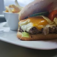 Jackfruit pea-Burger with Pommes and cheddar at Tauplitzhaus - Naturfreunde Linz in Bad Mitterndorf