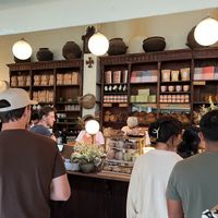   at Pandaria Rosetta in Mexico City