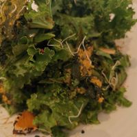 KIng Kale Salad at Market at Edition in Abu Dhabi