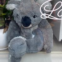Koala stuffy at the entrancee  at Lucyd - 루시드 in Seoul